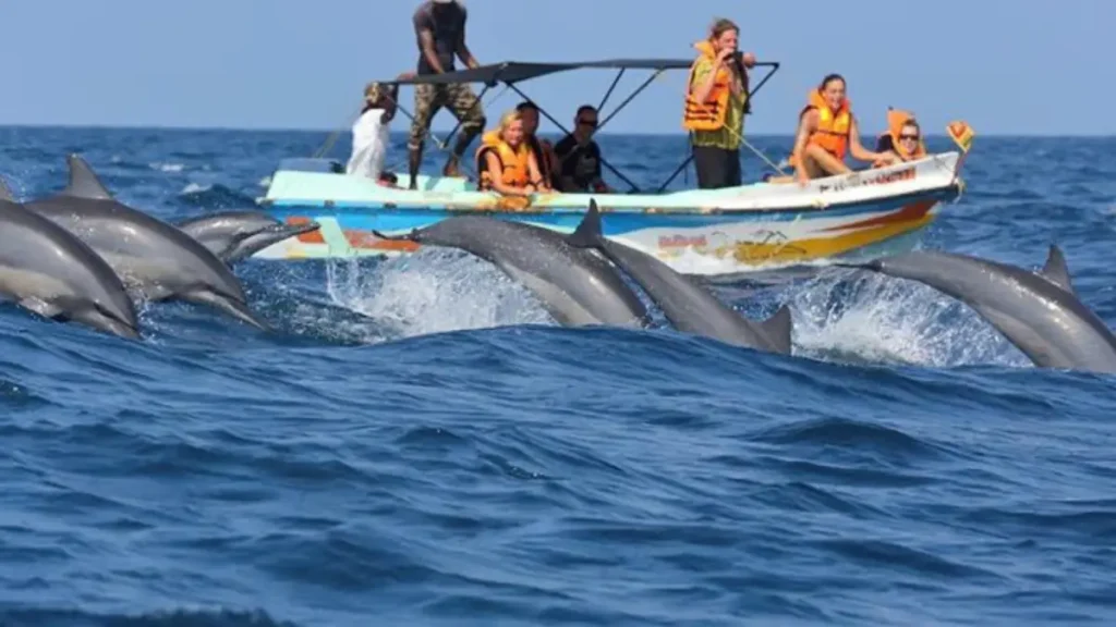 Things to do in Trincomalee Things to do in Trincomalee